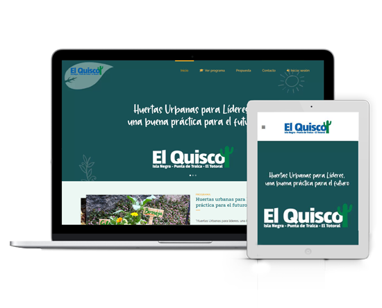 sitio web elearning